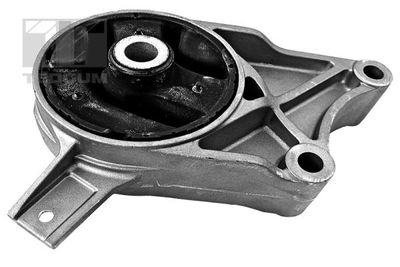 Подвеска, двигатель TEDGUM 00500192