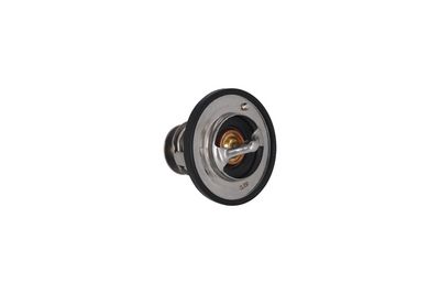 Термостат, охлаждающая жидкость KAMOKA 7710103