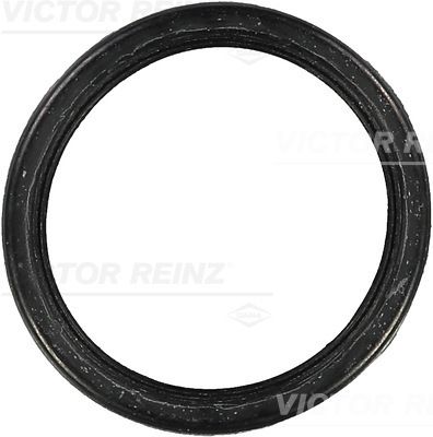 Прокладка, впускной коллектор VICTOR REINZ 71-24564-00