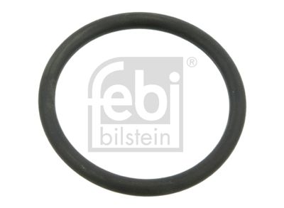 Blīve, Ūdenssūknis FEBI BILSTEIN 03518