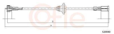Spidometra trose COFLE 92.S20040