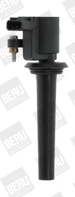 Aizdedzes spole BorgWarner (BERU) ZS389
