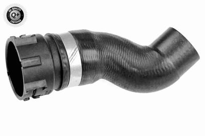 Radiatora cauruļvads VAICO V10-5536