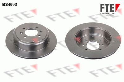 Тормозной диск FTE 9072138