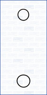 AJUSA 77001900 Blīvju komplekts, Ūdenssūknis