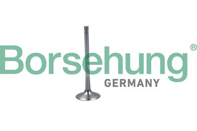 Впускной клапан BORSEHUNG B19026