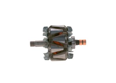 Rotors, Ģenerators BOSCH F 00M 121 617