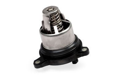 Термостат, охлаждающая жидкость HEPU TM1389