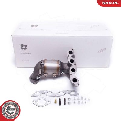 Катализатор ESEN SKV 62SKV013