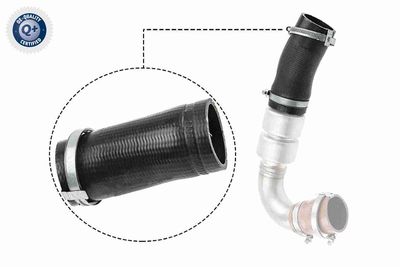 Pūtes sistēmas gaisa caurule VAICO V25-1036