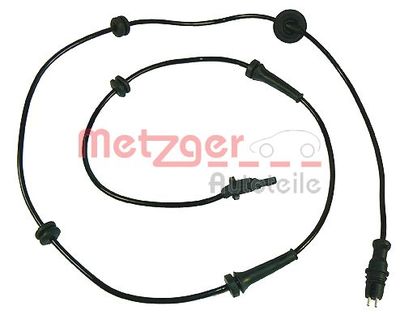  METZGER 0900659