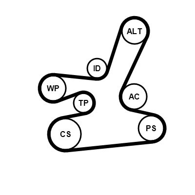 Ūdenssūknis + ķīļrievu siksnas komplekts CONTINENTAL CTAM 6DPK1817WP1