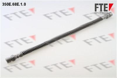 Тормозной шланг FTE 9741025