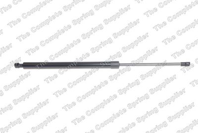 Gāzes atspere, Bagāžas/Kravas nodalījuma vāks LESJOFORS 8155468