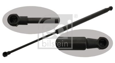 Gaasivedru, pagasi-/veoruum FEBI BILSTEIN 40906