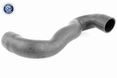 Pūtes sistēmas gaisa caurule VAICO V42-0599