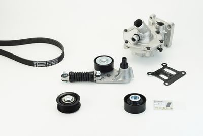 Водяной насос + комплект ручейковых ремней CONTINENTAL CTAM 6PK1642WP2