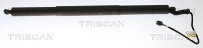 Gāzes atspere, Bagāžas/Kravas nodalījuma vāks TRISCAN 8710 29306