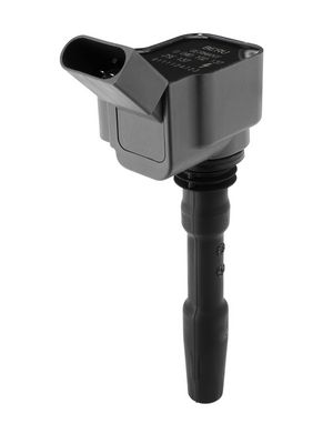 Катушка зажигания BorgWarner (BERU) ZSE137