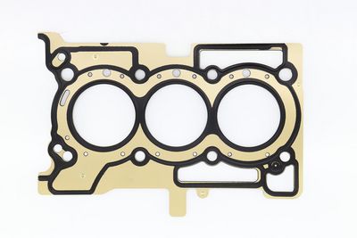 Blīve, Motora bloka galva CORTECO 83403233