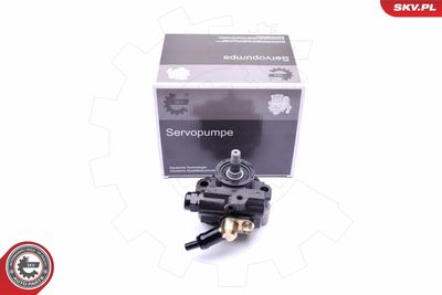 Hidrosūknis, Stūres iekārta ESEN SKV 10SKV267