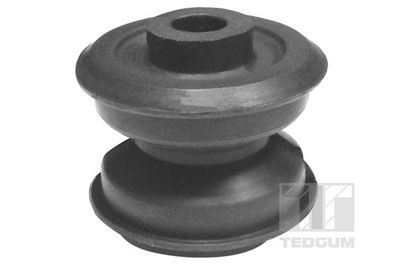 Piekare, Dzinējs TEDGUM 00116695