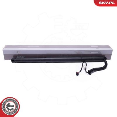 Электромотор, задняя дверь ESEN SKV 52SKV959