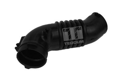 Gaisa tvērēja caurule, Gaisa filtrs TEDGUM 00392218