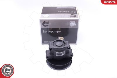 Hidrosūknis, Stūres iekārta ESEN SKV 10SKV101