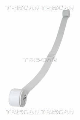 Многолистовая рессора TRISCAN 8765 16048