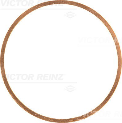 Blīve, Motora bloka galva VICTOR REINZ 41-70463-10