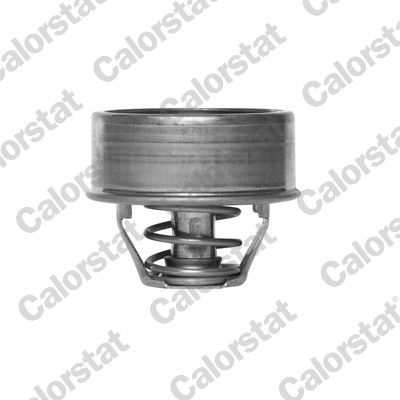 Termostats, Dzesēšanas šķidrums CALORSTAT by Vernet TH1503.78