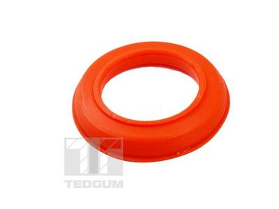 Atsperes atbalstplāksne TEDGUM TED94768