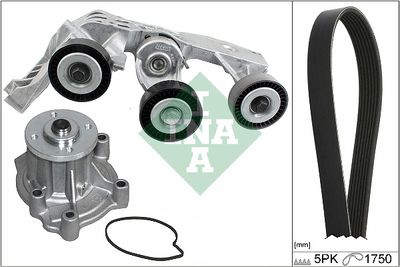 Водяной насос + комплект ручейковых ремней Schaeffler INA 529 0081 31