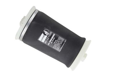 Pneimoatspere, Balstiekārta BILSTEIN 40-221595