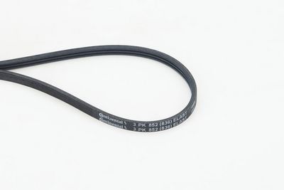 Ķīļrievu siksna CONTINENTAL CTAM 3PK852 ELAST