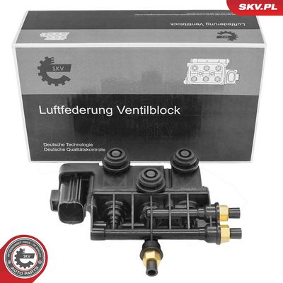 Vārsts, Pneimatiskā sistēma ESEN SKV 93SKV822