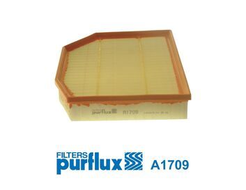 Gaisa filtrs PURFLUX A1709