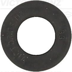 Уплотнительное кольцо, стержень клапана VICTOR REINZ 70-20423-10