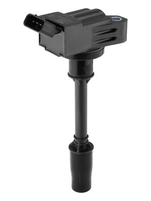 Aizdedzes spole BorgWarner (BERU) ZSE298