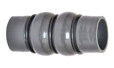 Pūtes sistēmas gaisa caurule BUGIAD 88715