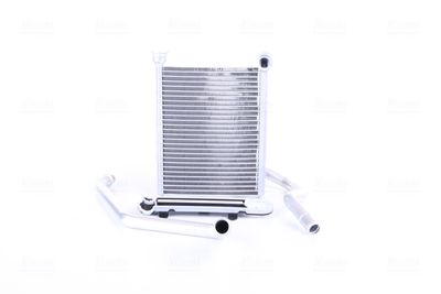 Siltummainis, Salona apsilde NISSENS 72067