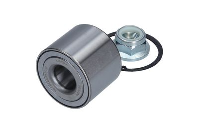 Комплект подшипника ступицы колеса KAMOKA 5600050