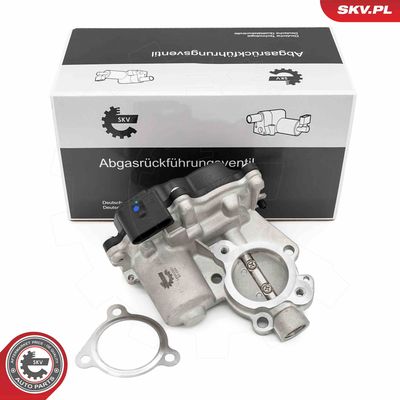 Клапан возврата ОГ ESEN SKV 14SKV281