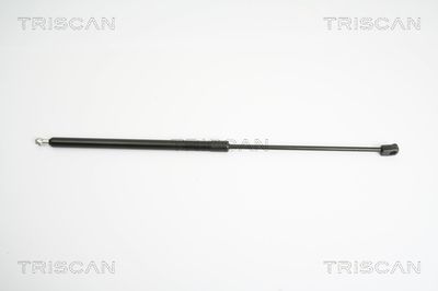 Gāzes atspere, Bagāžas/Kravas nodalījuma vāks TRISCAN 8710 24231