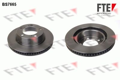 Bremžu diski FTE 9071178