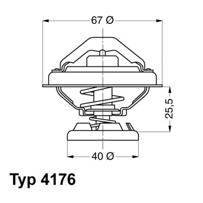 Termostats, Dzesēšanas šķidrums BorgWarner (Wahler) 4176.85D