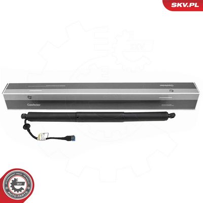Электромотор, задняя дверь ESEN SKV 52SKV183