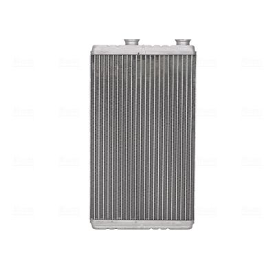 Siltummainis, Salona apsilde NISSENS 707274