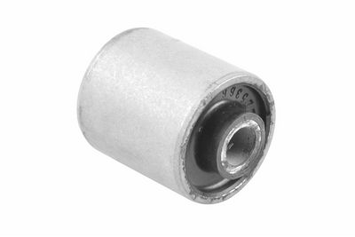 Piekare, Šķērssvira TEDGUM 00225366